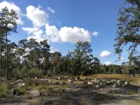 blakheide106